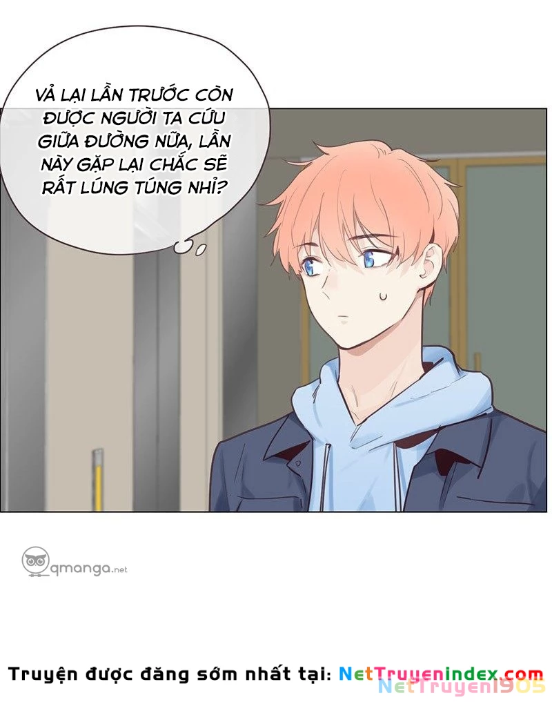 Tương Nhu Dịch Mộc Chapter 17 - 12