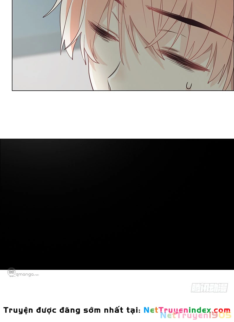 Tương Nhu Dịch Mộc Chapter 21 - 15