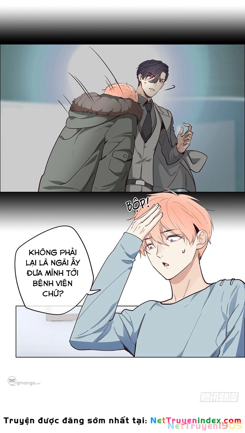 Tương Nhu Dịch Mộc Chapter 21 - 19