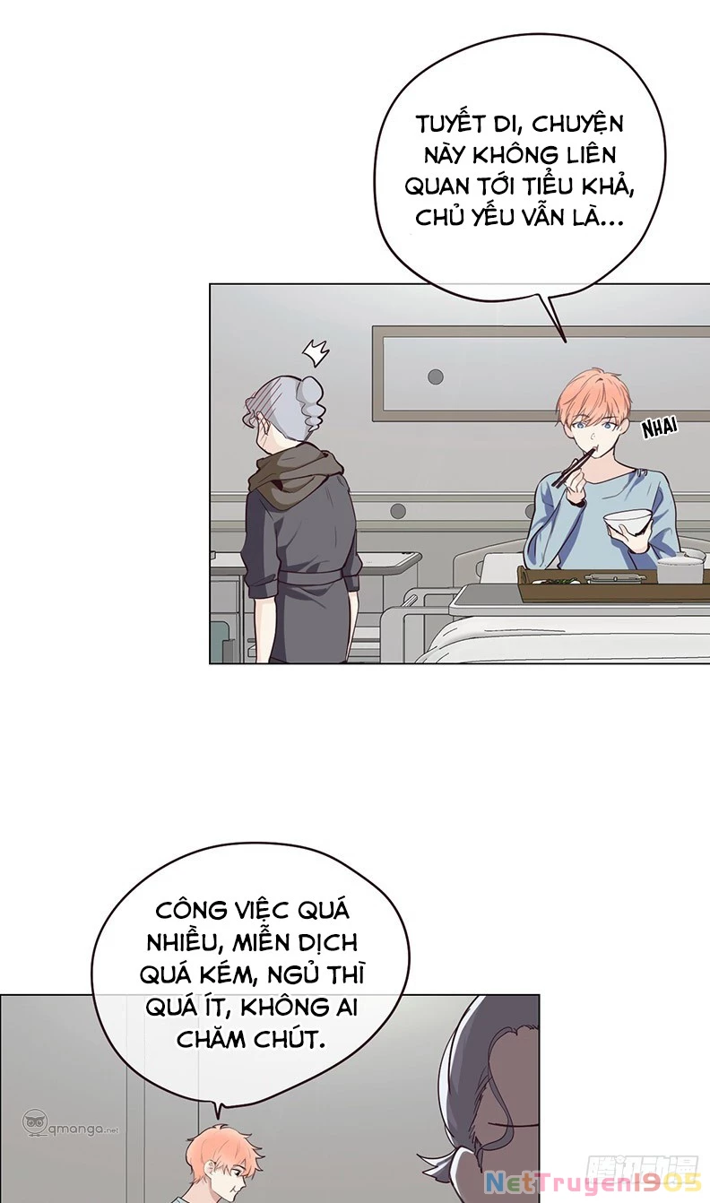 Tương Nhu Dịch Mộc Chapter 23 - 5