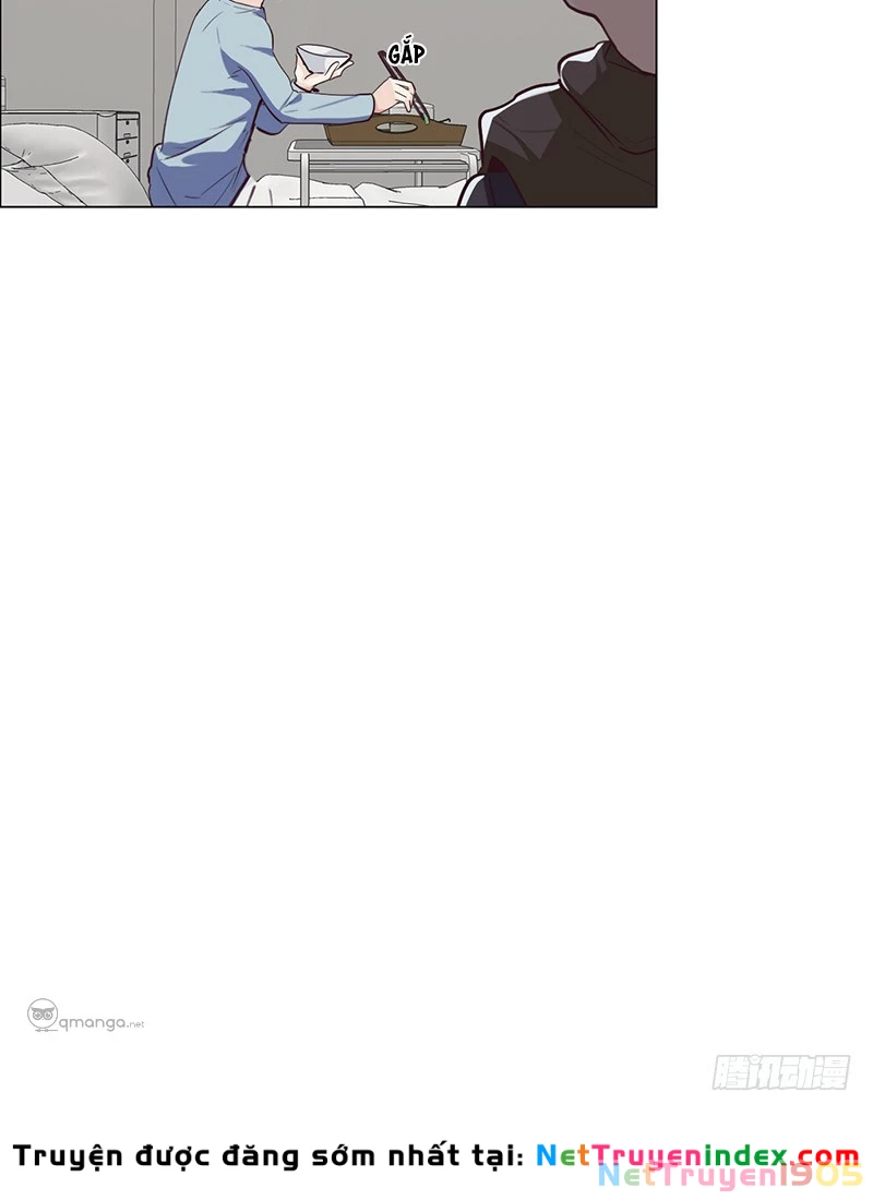 Tương Nhu Dịch Mộc Chapter 23 - 6