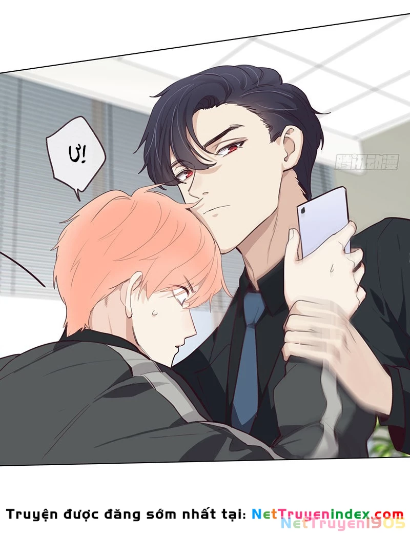 Tương Nhu Dịch Mộc Chapter 24 - 29