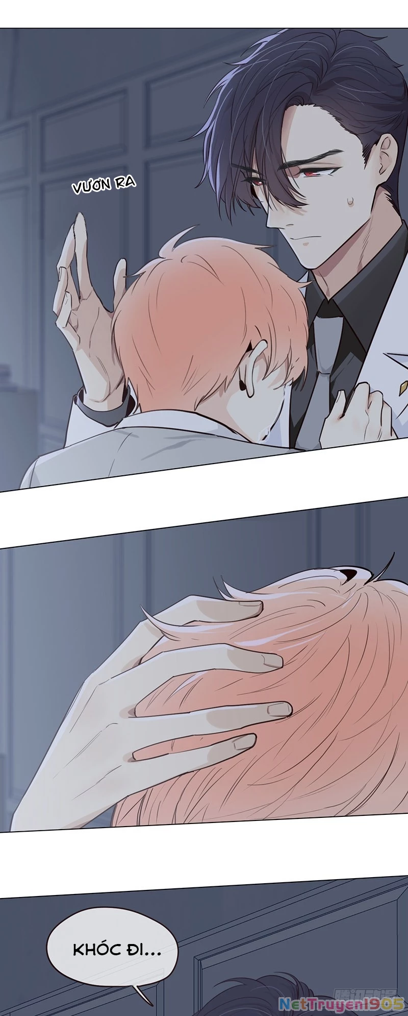 Tương Nhu Dịch Mộc Chapter 28 - 7