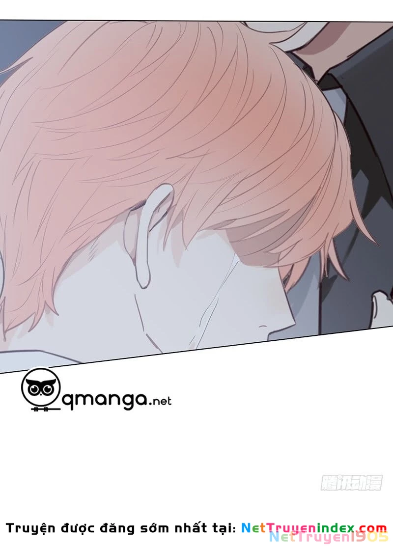 Tương Nhu Dịch Mộc Chapter 28 - 9