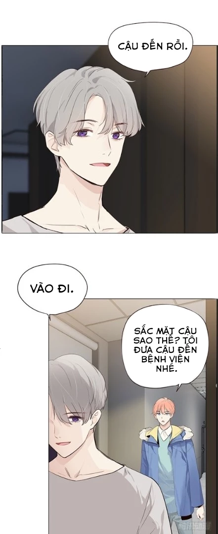 Tương Nhu Dịch Mộc Chapter 33 - 15