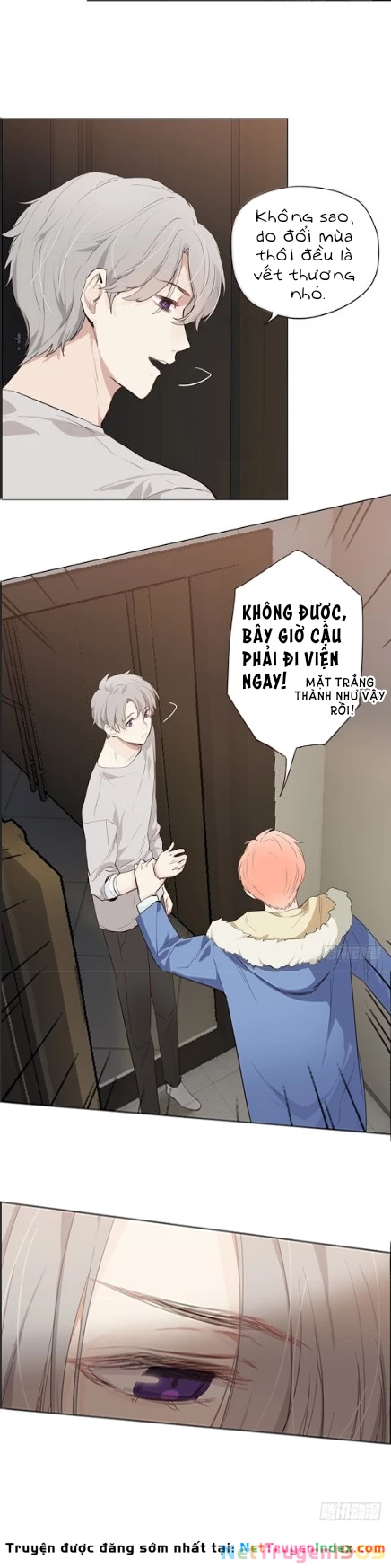 Tương Nhu Dịch Mộc Chapter 33 - 16