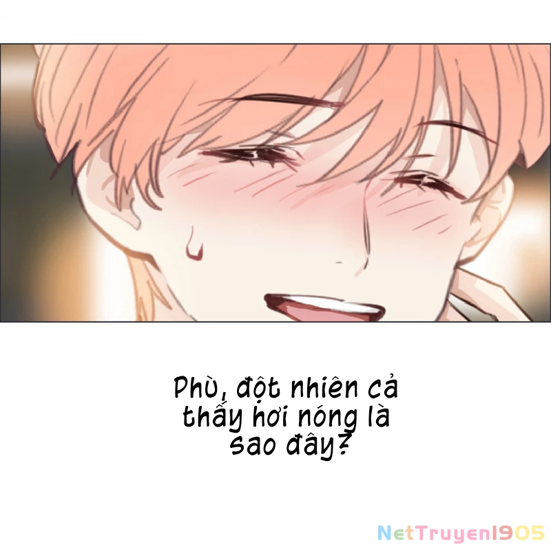 Tương Nhu Dịch Mộc Chapter 36 - 13