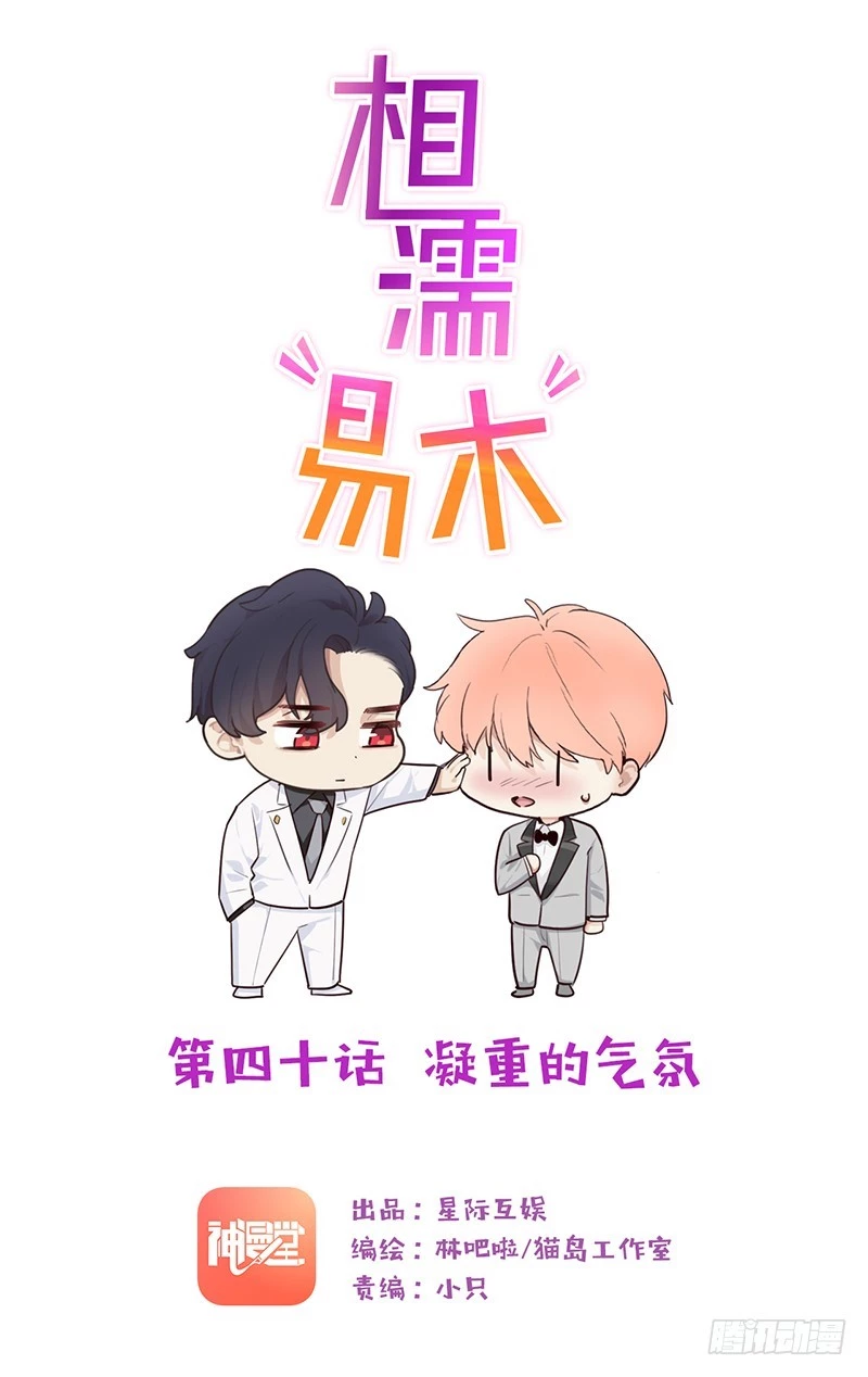 Tương Nhu Dịch Mộc Chapter 40 - 2