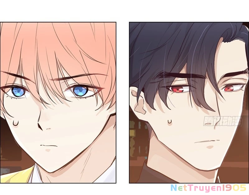 Tương Nhu Dịch Mộc Chapter 42 - 7