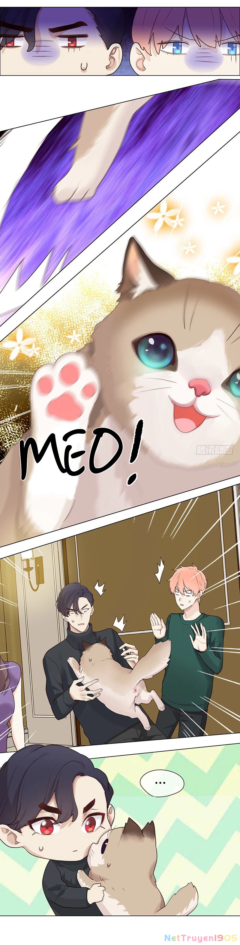 Tương Nhu Dịch Mộc Chapter 48 - 14