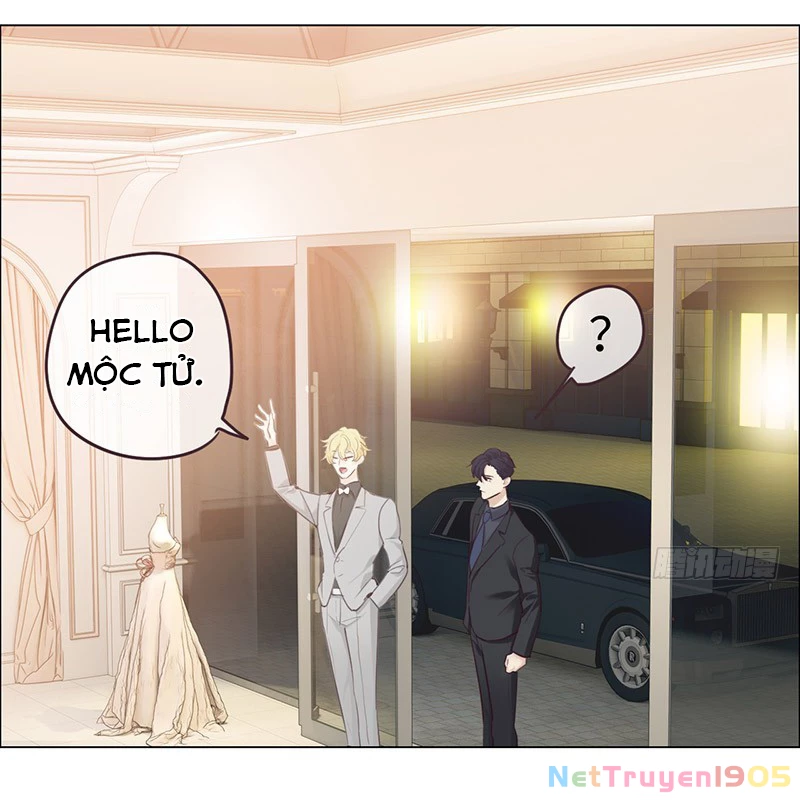 Tương Nhu Dịch Mộc Chapter 62 - 21