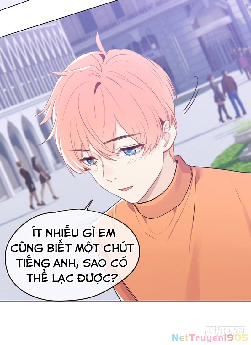 Tương Nhu Dịch Mộc Chapter 65 - 28