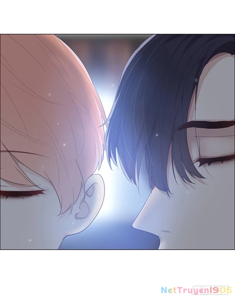 Tương Nhu Dịch Mộc Chapter 66 - 13