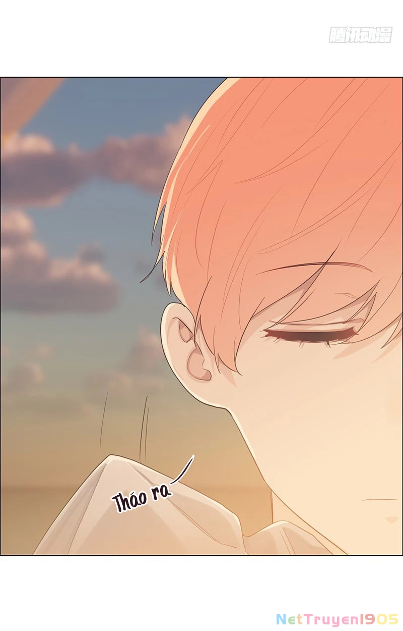 Tương Nhu Dịch Mộc Chapter 66 - 30