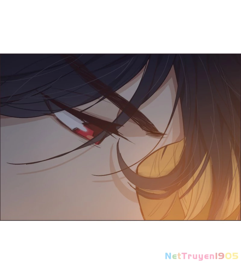 Tương Nhu Dịch Mộc Chapter 67 - 34