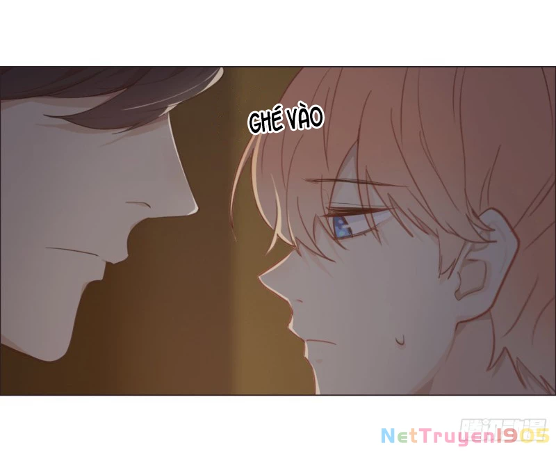 Tương Nhu Dịch Mộc Chapter 67 - 36