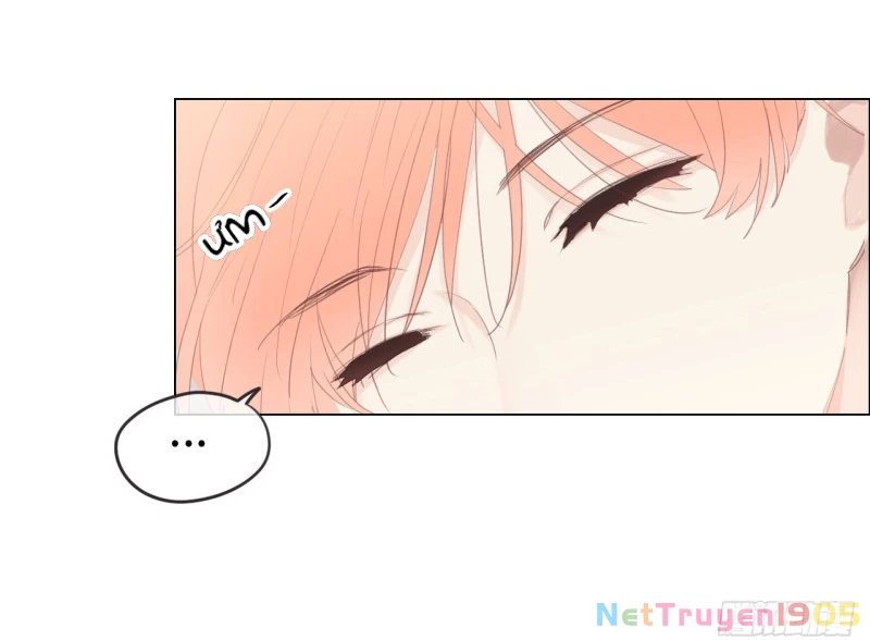 Tương Nhu Dịch Mộc Chapter 68 - 19