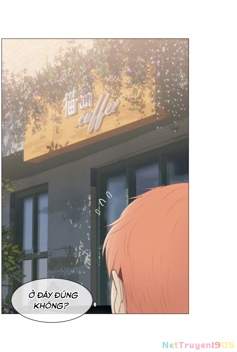 Tương Nhu Dịch Mộc Chapter 80 - 4