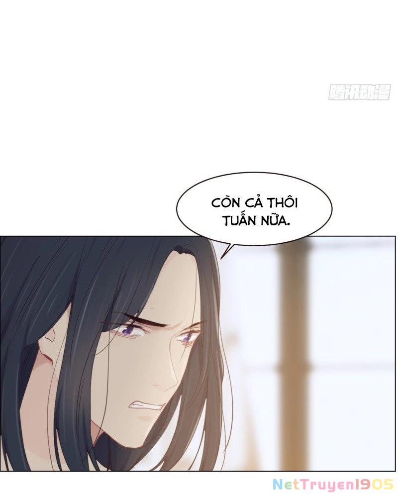 Tương Nhu Dịch Mộc Chapter 92 - 13