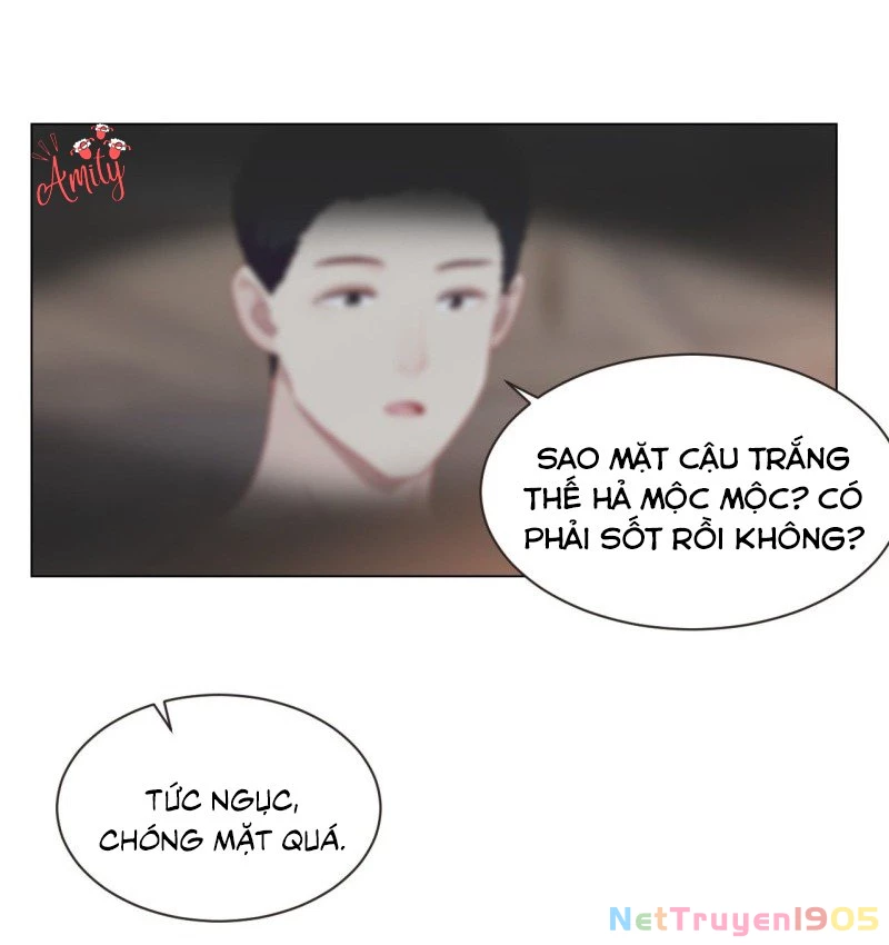 Tương Nhu Dịch Mộc Chapter 96 - 21