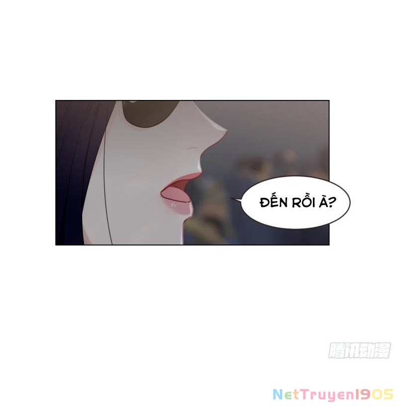 Tương Nhu Dịch Mộc Chapter 100 - 18