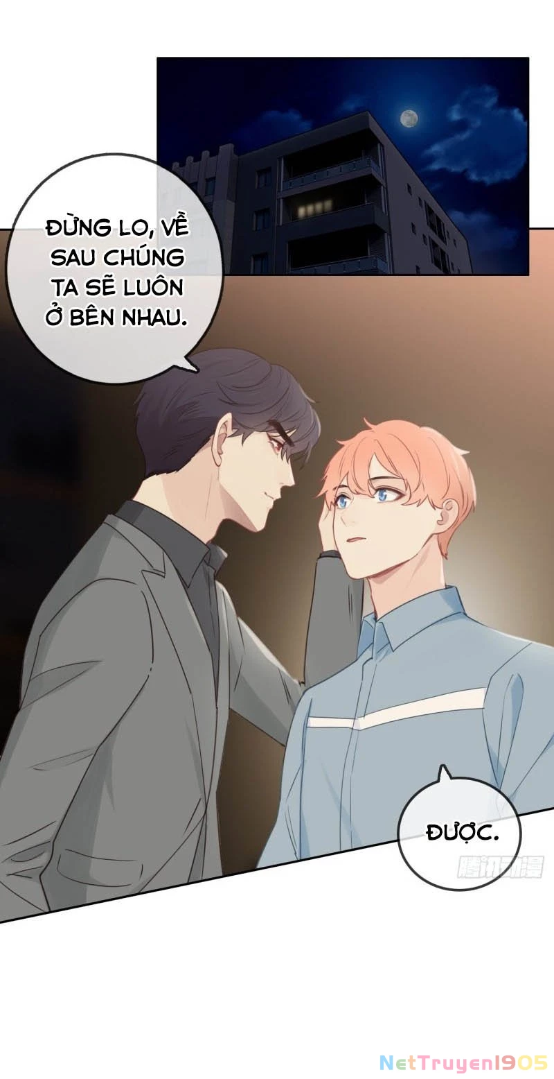 Tương Nhu Dịch Mộc Chapter 105 - 4