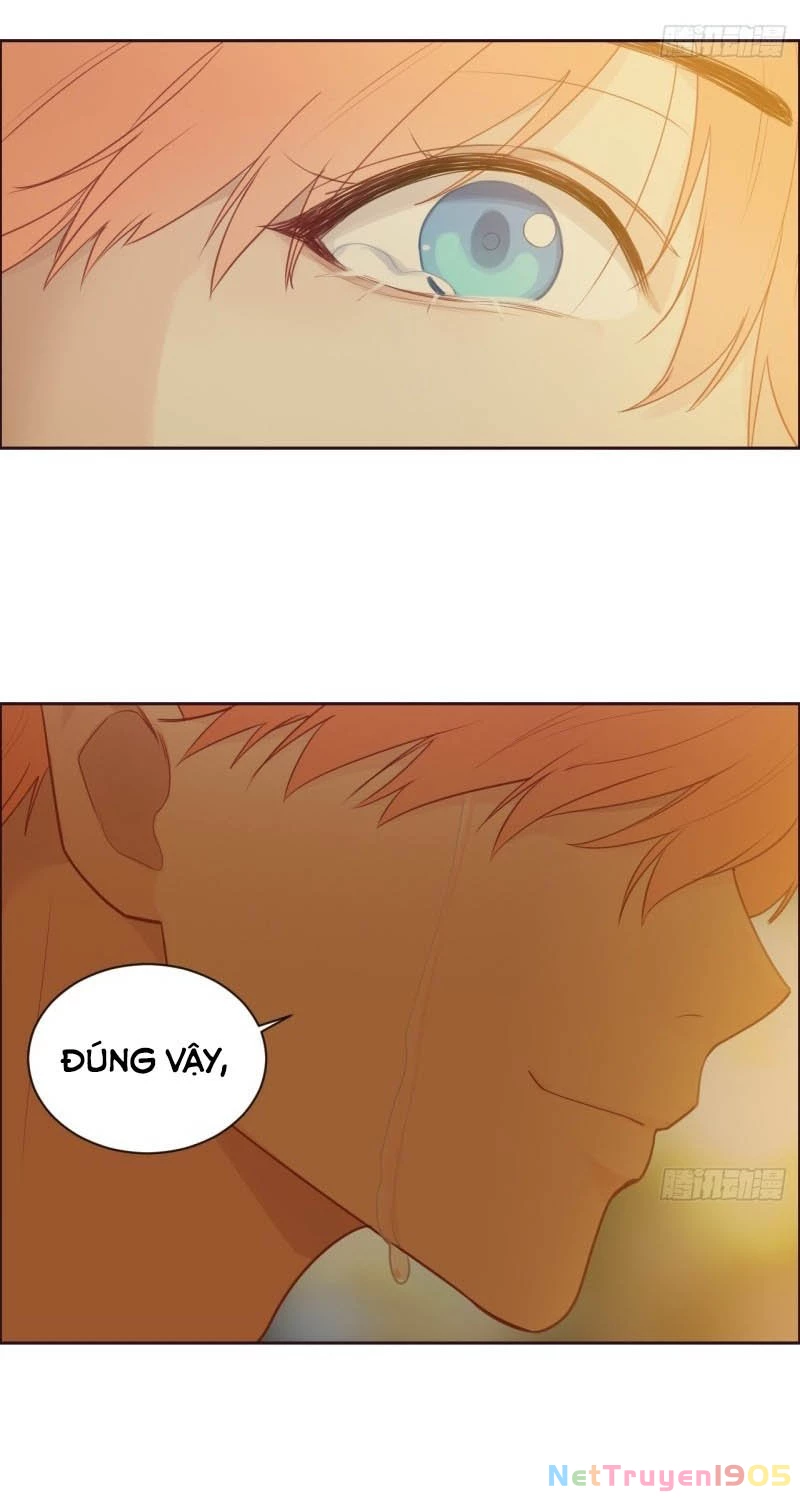 Tương Nhu Dịch Mộc Chapter 107 - 27