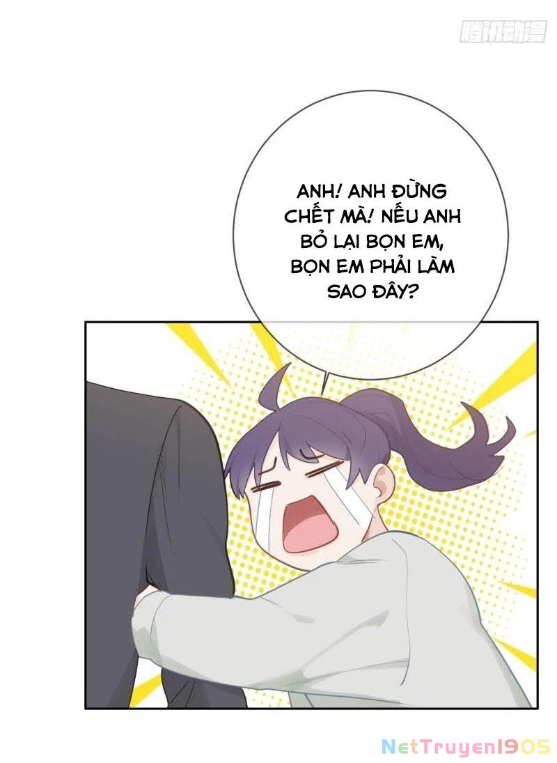 Tương Nhu Dịch Mộc Chapter 114 - 26