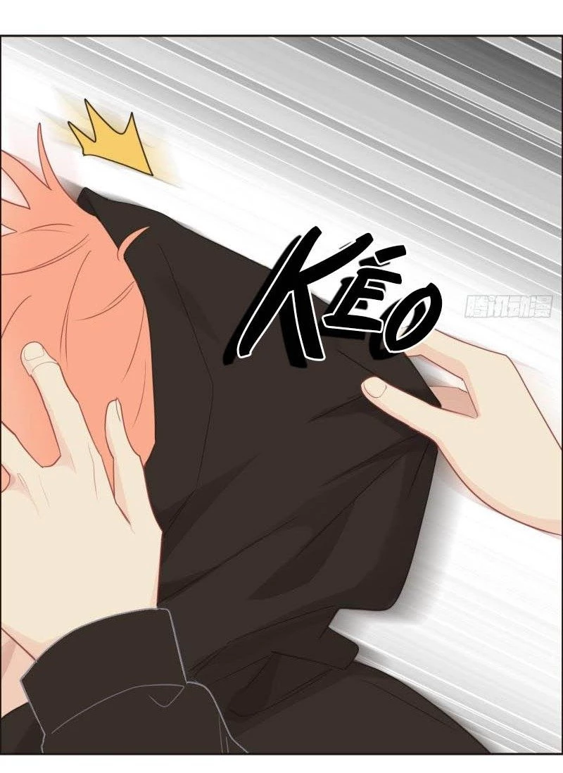 Tương Nhu Dịch Mộc Chapter 116 - 15