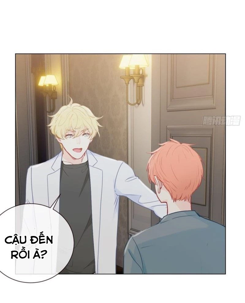 Tương Nhu Dịch Mộc Chapter 120 - 5