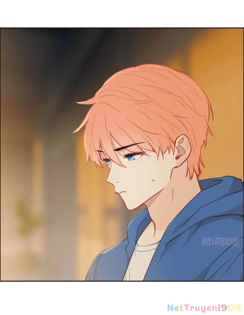 Tương Nhu Dịch Mộc Chapter 123 - 23