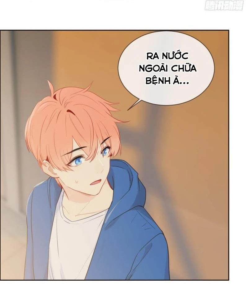 Tương Nhu Dịch Mộc Chapter 123 - 26