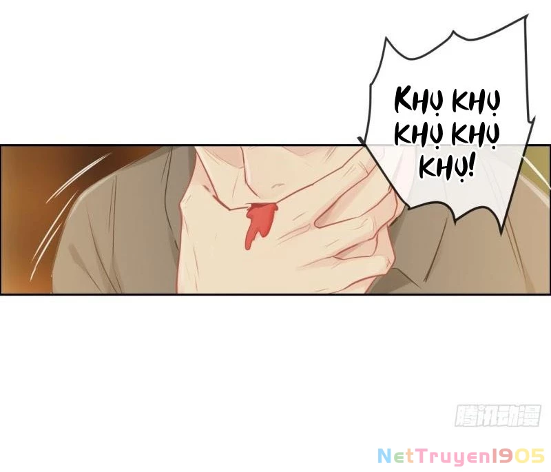 Tương Nhu Dịch Mộc Chapter 134 - 31