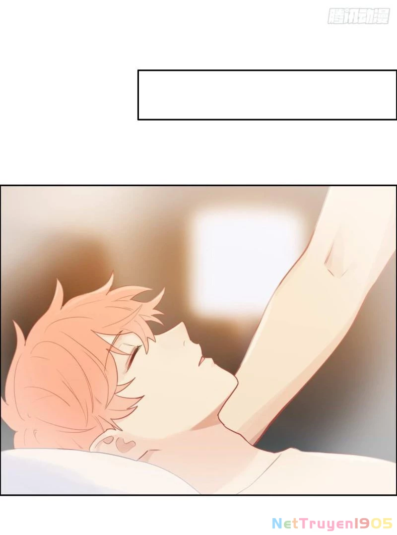 Tương Nhu Dịch Mộc Chapter 135 - 21
