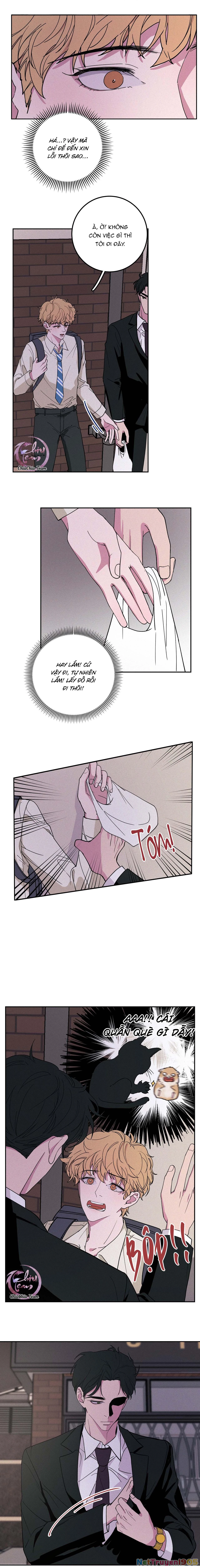 Hộp Bánh Quy Định Mệnh Chapter 2 - 11