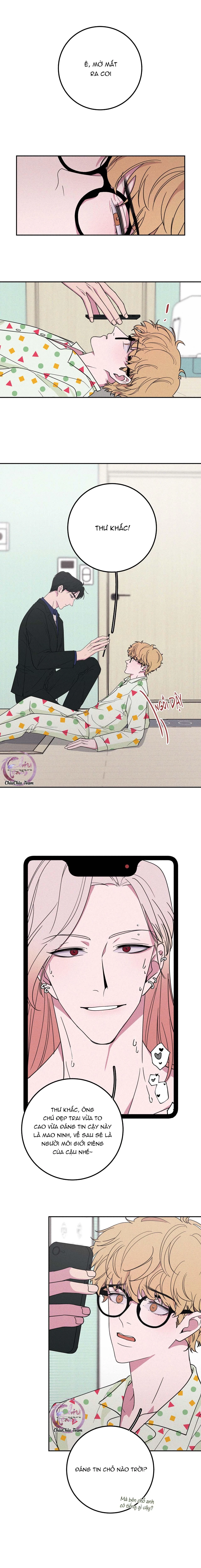 Hộp Bánh Quy Định Mệnh Chapter 5 - 4