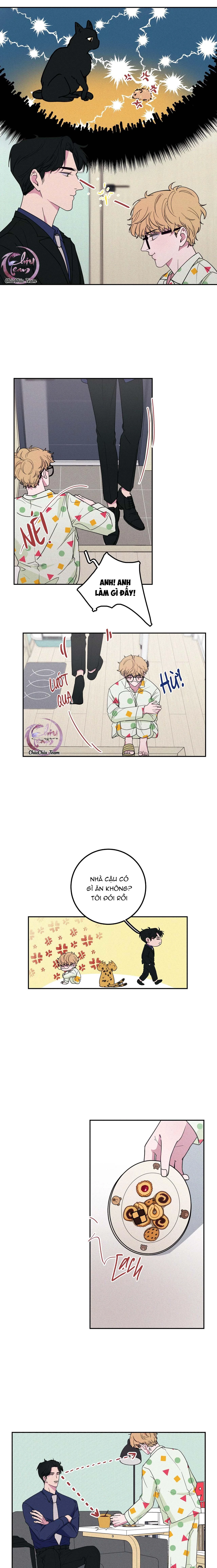 Hộp Bánh Quy Định Mệnh Chapter 5 - 6