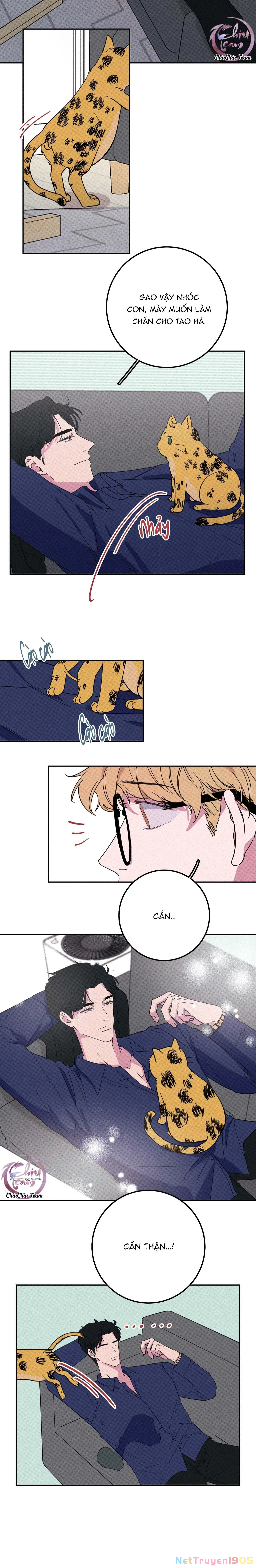 Hộp Bánh Quy Định Mệnh Chapter 5 - 10