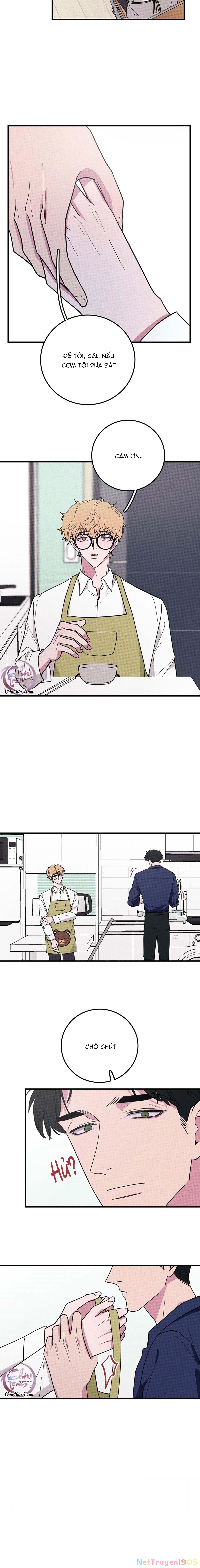 Hộp Bánh Quy Định Mệnh Chapter 8 - 5