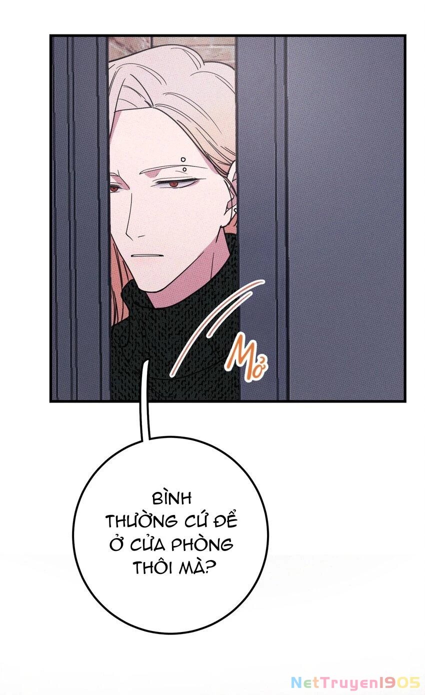 Hộp Bánh Quy Định Mệnh Chapter 11 - 15