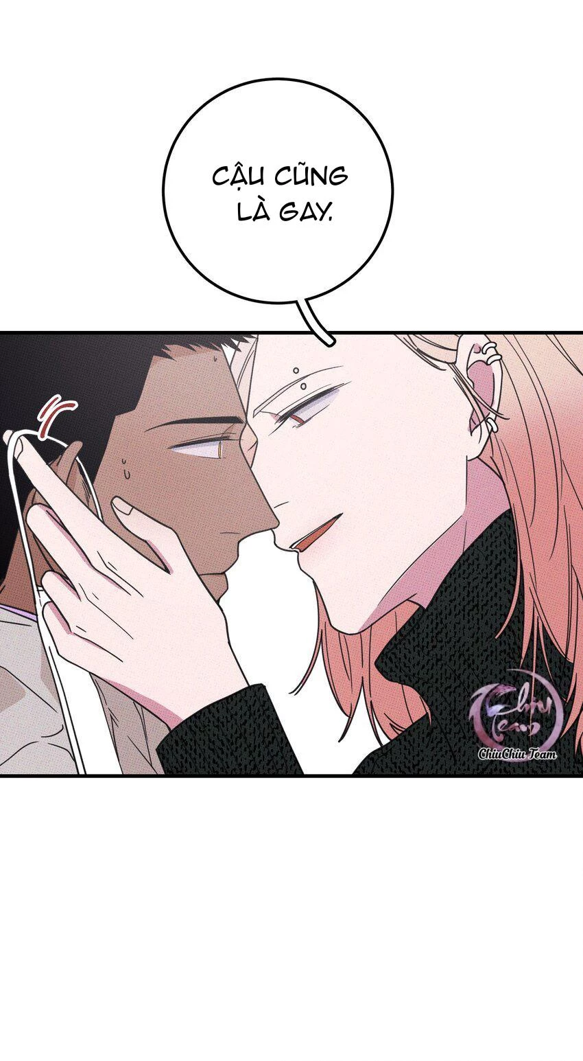 Hộp Bánh Quy Định Mệnh Chapter 11 - 36