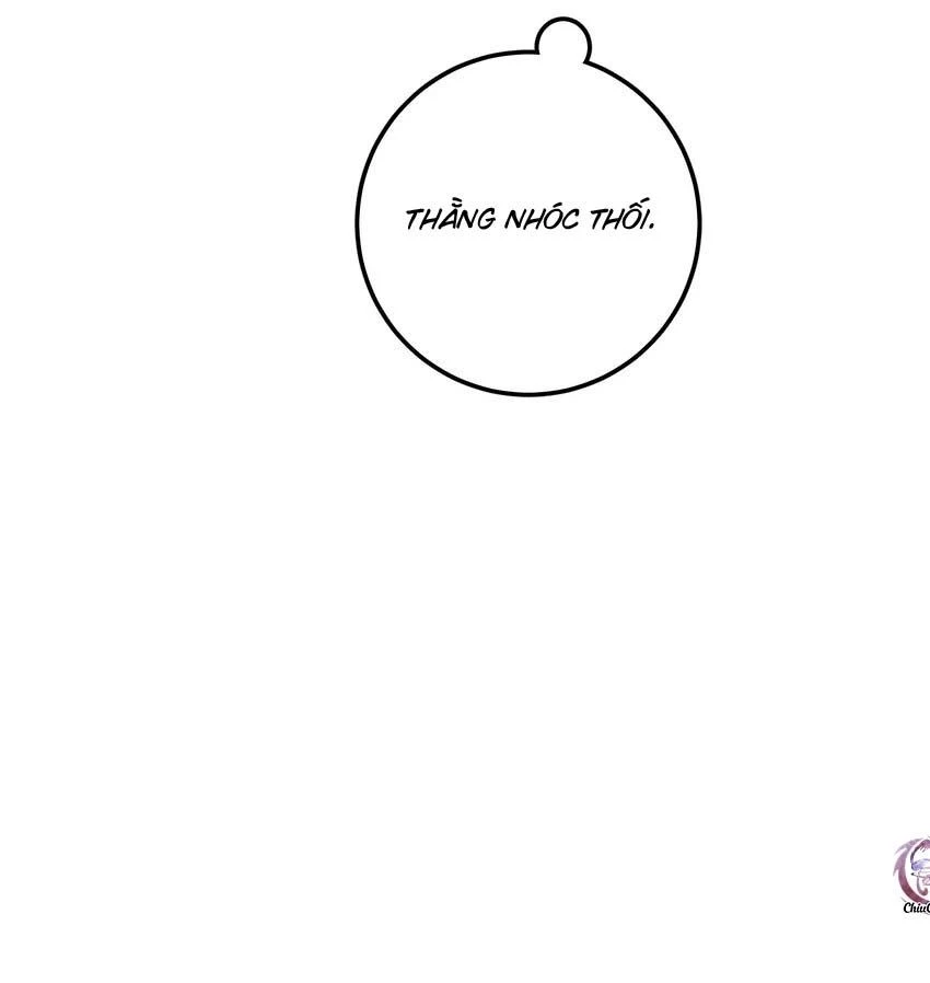 Hộp Bánh Quy Định Mệnh Chapter 12 - 14