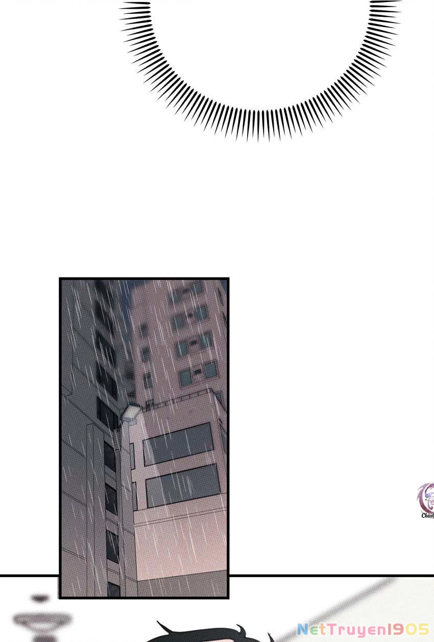 Hộp Bánh Quy Định Mệnh Chapter 12 - 42