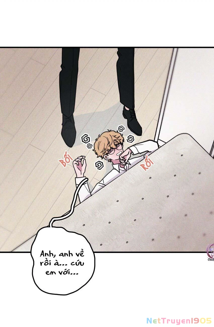 Hộp Bánh Quy Định Mệnh Chapter 13 - 5