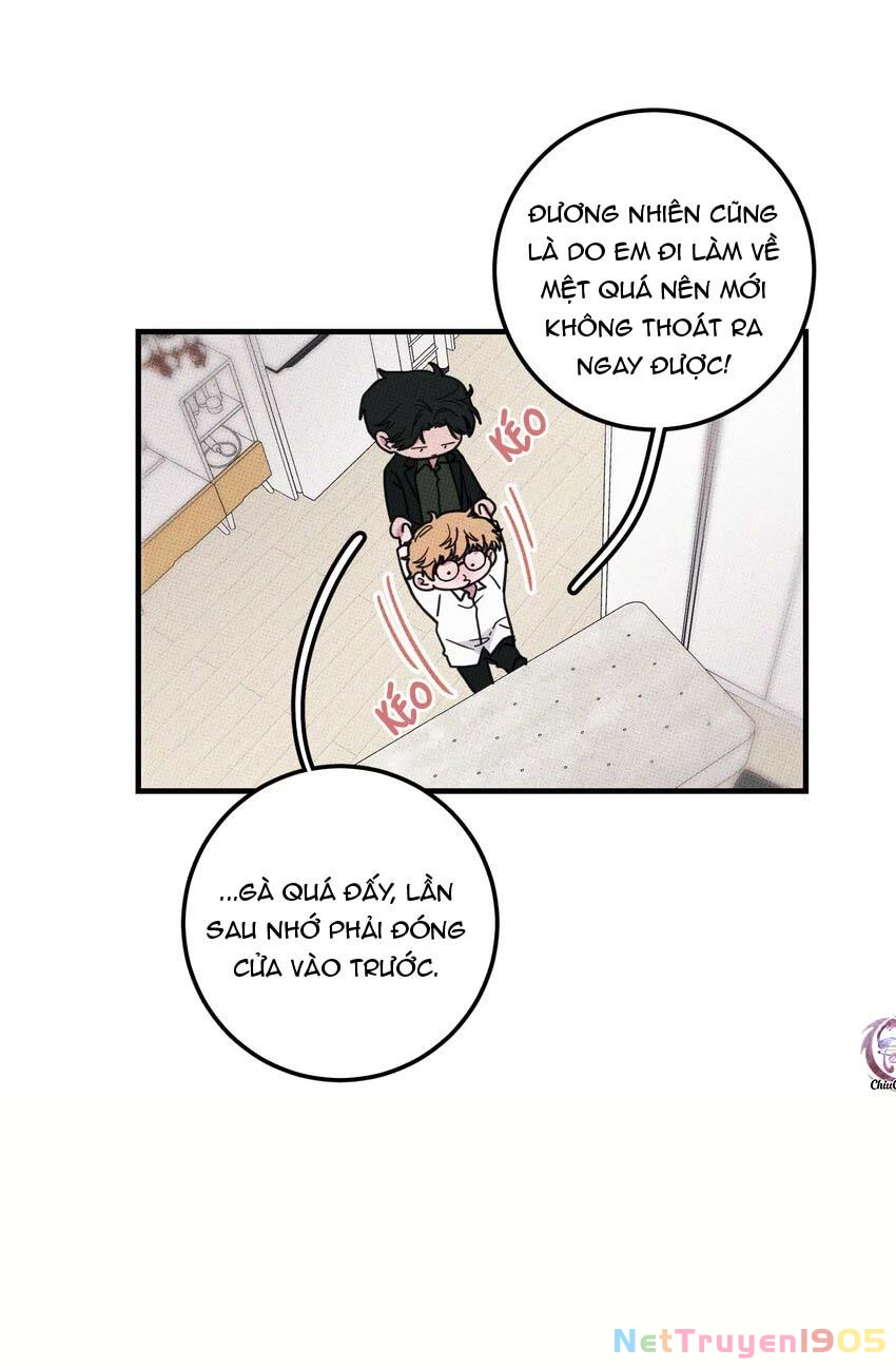 Hộp Bánh Quy Định Mệnh Chapter 13 - 9