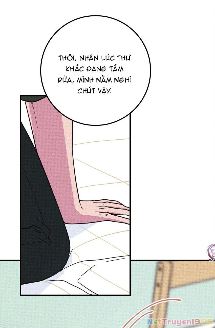 Hộp Bánh Quy Định Mệnh Chapter 13 - 12