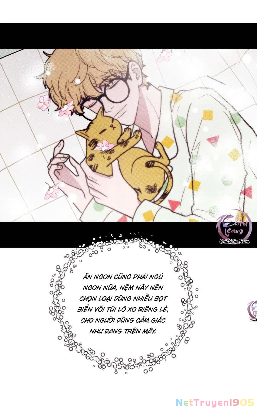 Hộp Bánh Quy Định Mệnh Chapter 13 - 14