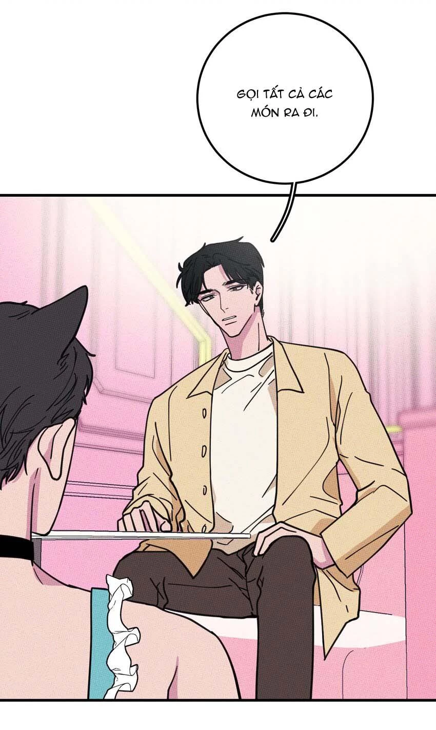 Hộp Bánh Quy Định Mệnh Chapter 15 - 16