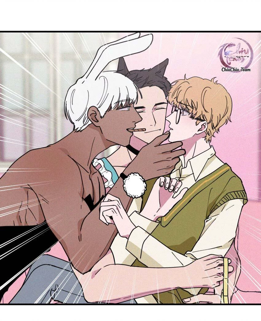 Hộp Bánh Quy Định Mệnh Chapter 15 - 28