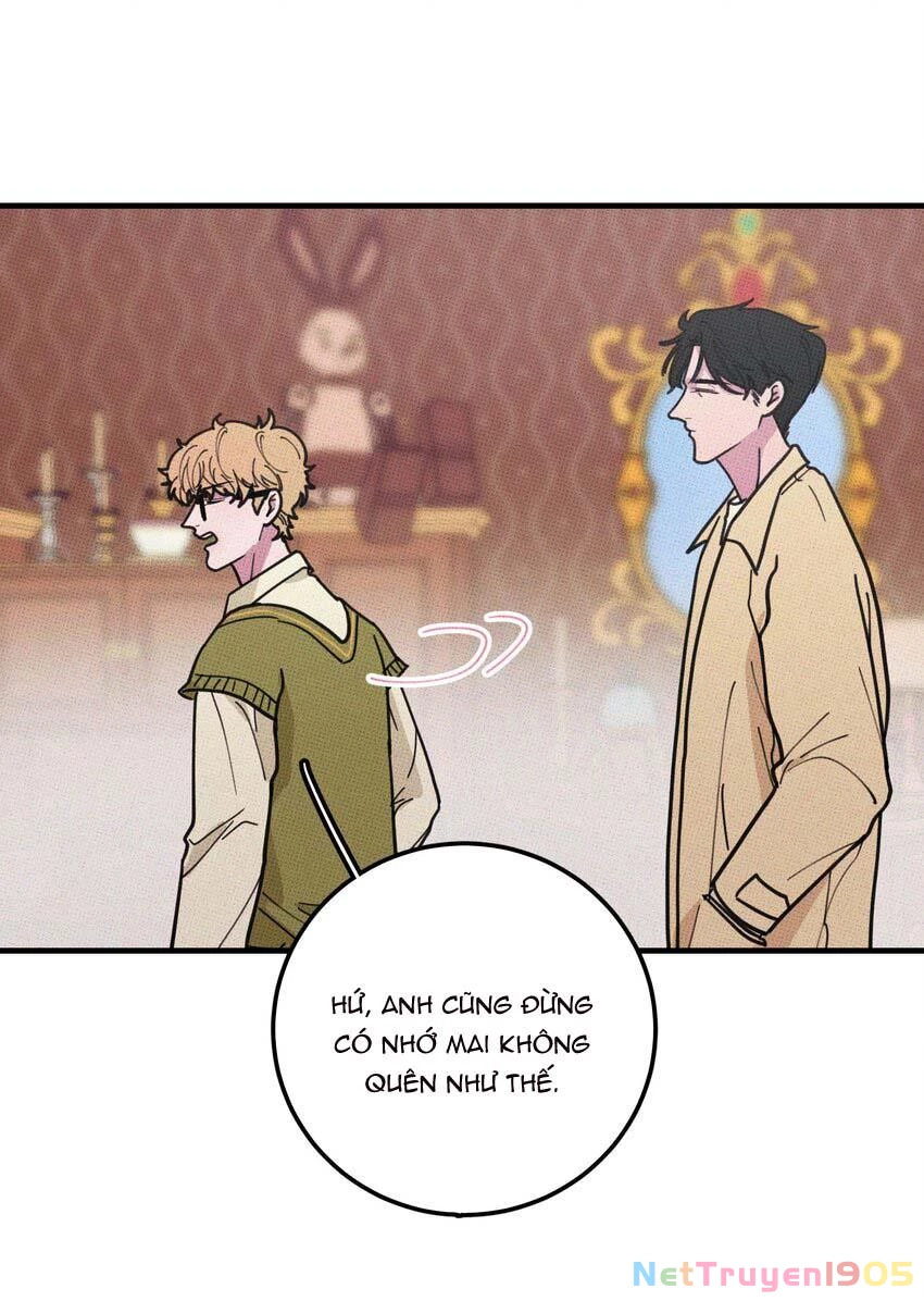 Hộp Bánh Quy Định Mệnh Chapter 16 - 12